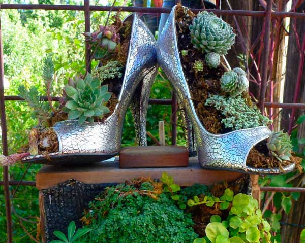Heels for Pot Plants